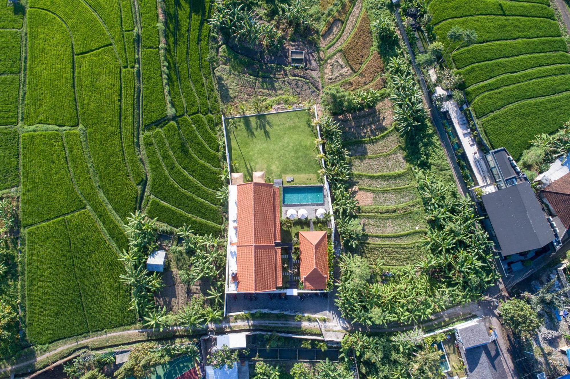 Eden Guest House Canggu Exterior foto